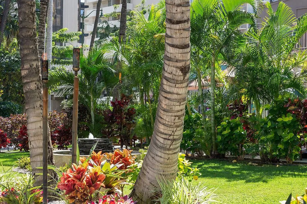 Hotel Courtyard By Marriott Waikiki Beach Honolulu