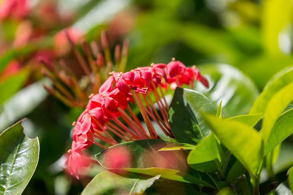 Courtyard By Marriott Waikiki Beach Honolulu