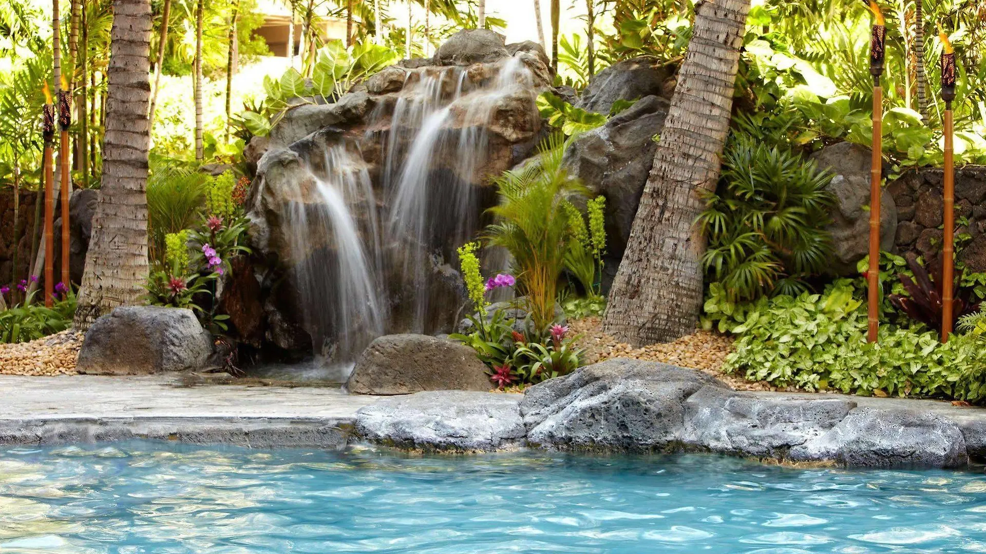 Hotel Courtyard By Marriott Waikiki Beach Honolulu